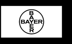Bayer